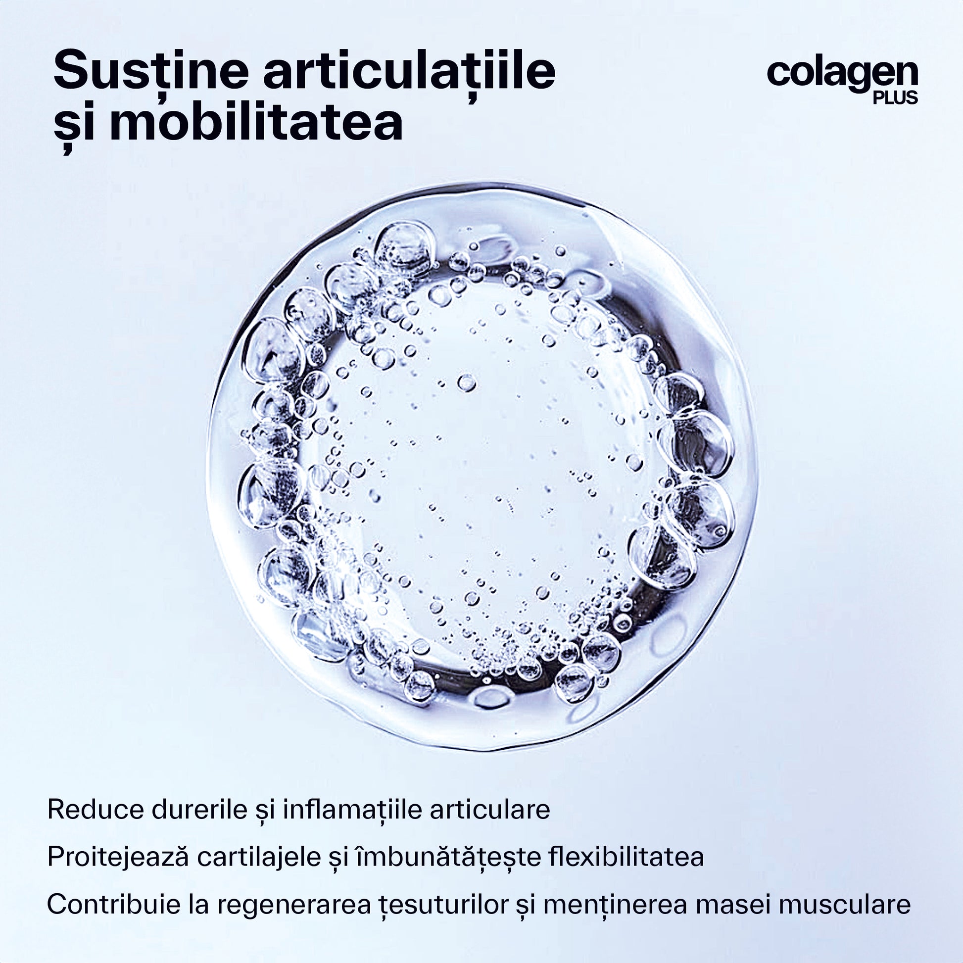 Colagen Bioactiv 100% Natural, 18.750mg, Fără Aditivi, cu Afine și Mure de Pădure din Supǎ de Oase Angus pentru Articulații & Ten · colagenPLUS  colagenPLUS.
