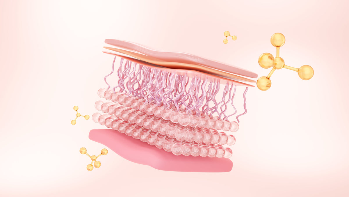 Cum să stimulezi sinteza de colagen pe căi naturale?