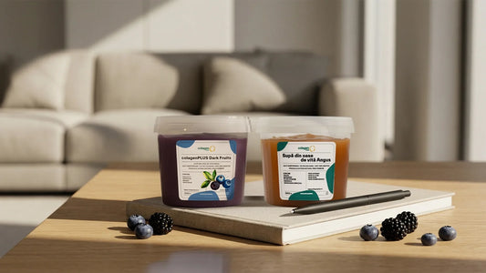 Superconcentrat ColagenPlus cu afine și mure și supă din oase de vită Angus, prezentate pentru rețete și idei de integrare în mesele zilnice 