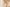 Banner promoțional
