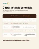 Comparație: untură de vită Angus vs ulei de floarea-soarelui